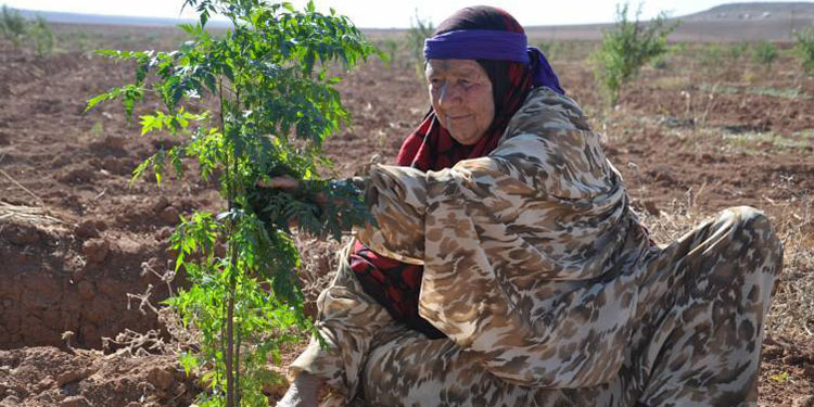 Rojava'da özgür kadın köyü: Jinwar - PİRHA