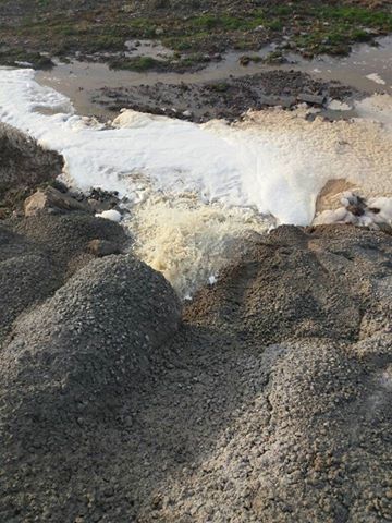 15355551_10154666903754693_6134998917468226546_n